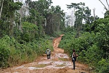 Ressources naturelles mal exploitées en Afrique : Cri du cœur d’un jeune ivoirien !